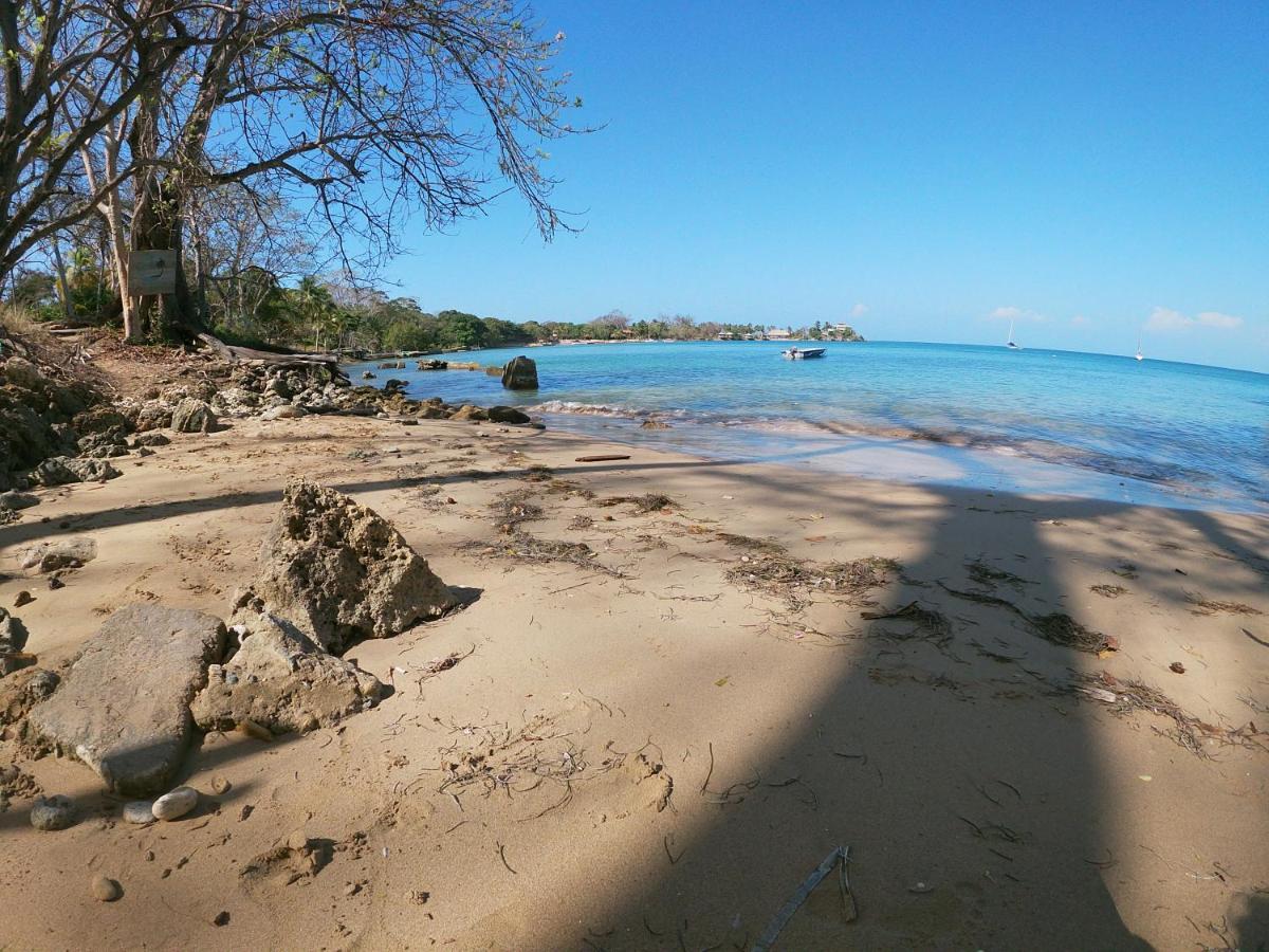 MALOKA SURF ISLA FUERTE - Beachfront Puerto Limon Exterior foto
